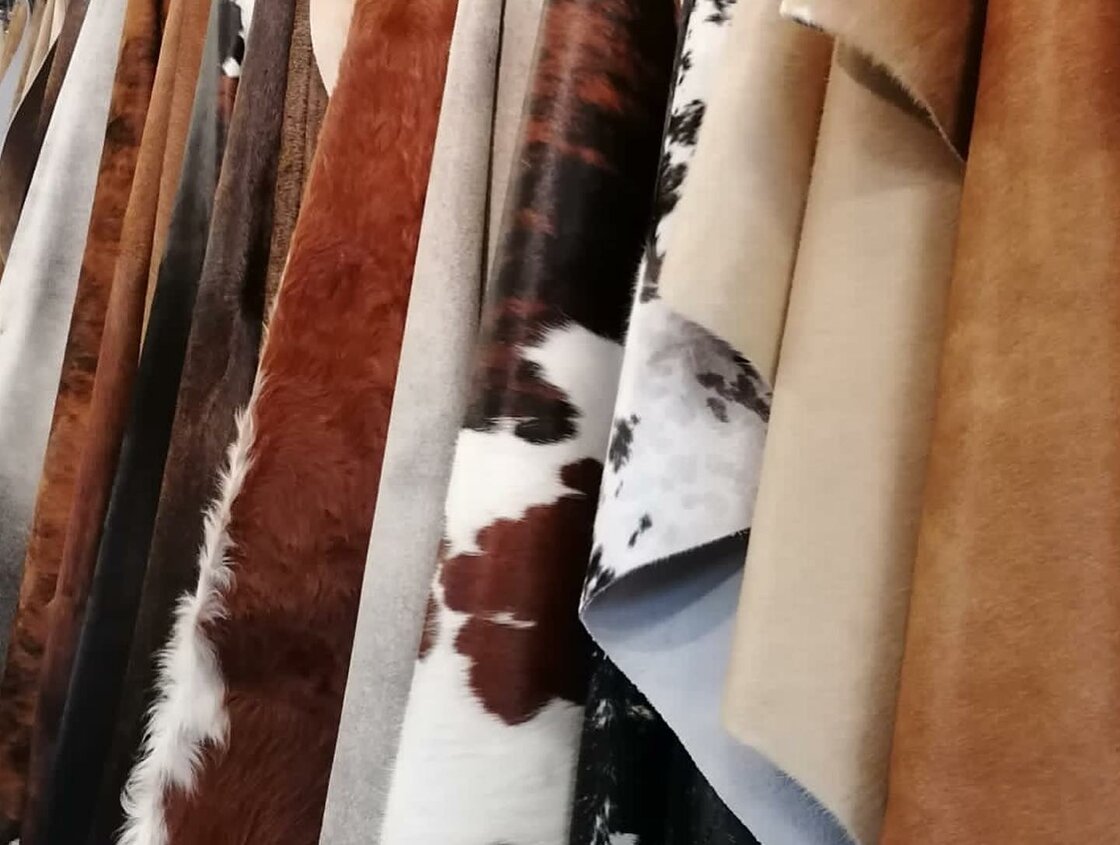 Huiden - Vachten & Taxidermie...
