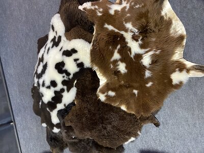 Mix Schaap